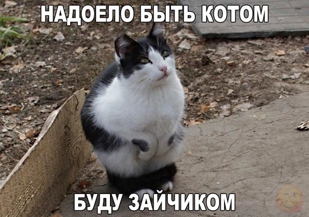    :D - 13  2016  07:12