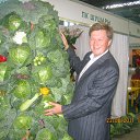 ���� ������, �����������, 53 ���� - ��������� 1 ������� 2016 � ������ ���� ����������