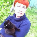  , , 50  -  24  2016   ߻