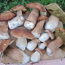 ���� �������, ������ - ��������� 5 ��� 2016 � ������ ������� ���� 2015�