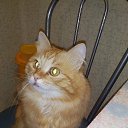 ���� ���������, ���������, 50 ��� - ��������� 12 ������� 2016 � ������ ���� ����������