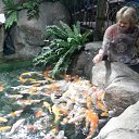 ��� ��� ����� ������������� �����.... �� ������� ���� ����������