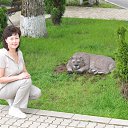 ���� �����, ����-���, 53 ���� - ��������� 13 ���� 2016 � ������ ���� ����������