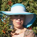 ���� ����, ������, 49 ��� - ��������� 23 ���� 2016