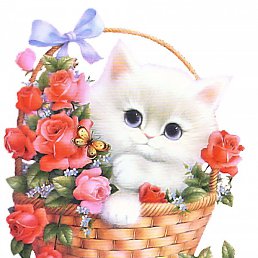 ����, ������, 62 ����