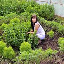 ���� �����, �������, 39 ��� - ��������� 6 ���� 2016 � ������ �6 �����