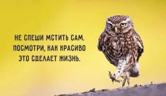      - 6
