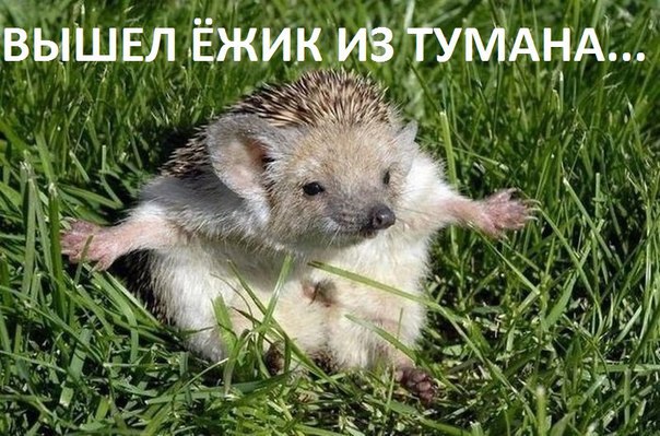    ,    ,  ,  -    !  ...