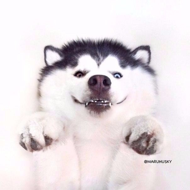     !)