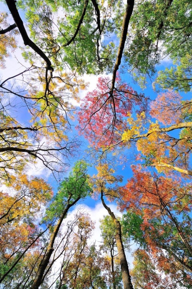  .#nature@travel.blog