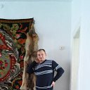 ���� �������, ���������, 43 ���� - ��������� 31 ��� 2016 � ������ ��������