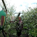 ���� ����, �������, 73 ���� - ��������� 30 ��� 2016 � ������ ���� ����������