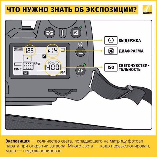 Nikon сделала крутую инфографику, в которой объясняются элементарные вещи о процессе фотосъемки - 2