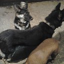  , , 67  -  5  2016    .