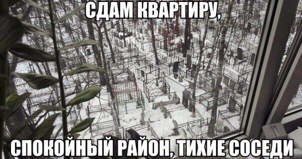 ... - 31  2016  20:47