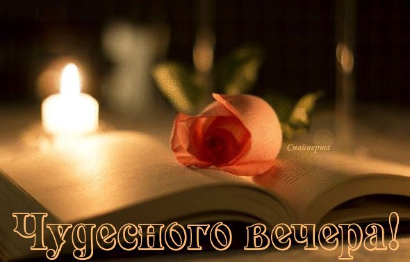 ~Dasha~ - 17  2016  17:19