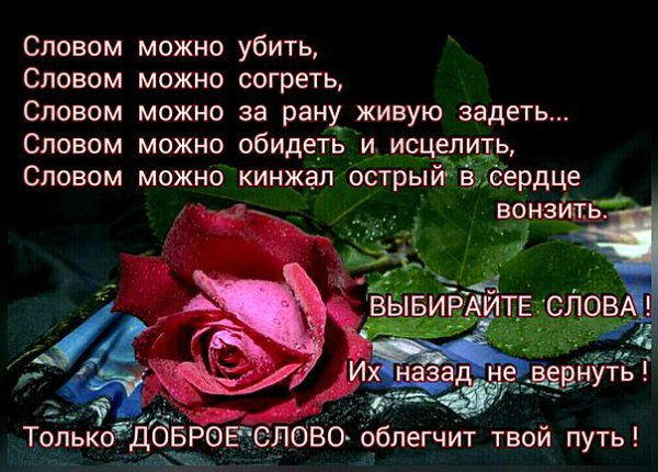 ~Dasha~ - 16  2016  07:20