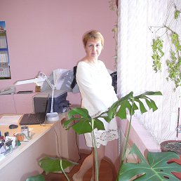 ��������, ������-��-����, 55 ���