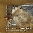  ,  , 63  -  12  2016    