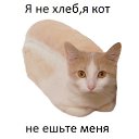  S.t.a.l.k.e.r., , 31  -  22  2016    