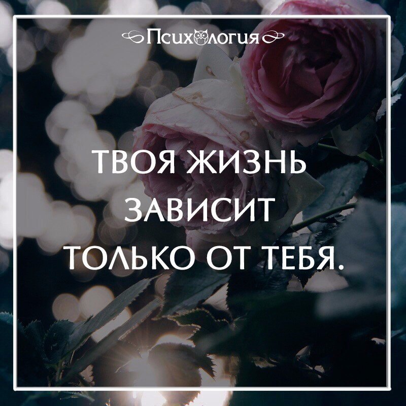  - 19  2016  08:32