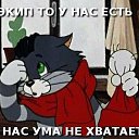 ���� �����, ������, 38 ��� - ��������� 17 ����� 2016 � ������ �2015/2016�