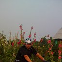 ���� ������, �����������, 52 ���� - ��������� 25 ���� 2016 � ������ ���� ����������