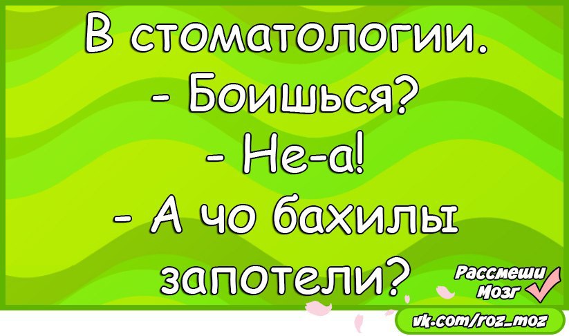  - 11  2016  08:41