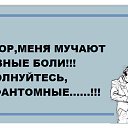 ���� ������, ������ - ��������� 3 ��� 2016 � ������ ���� ����������