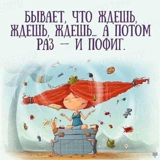   -  ,  -  - 17  2016  10:20