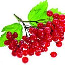  ••,  -  24  2016   hgirughrghr