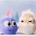 ���� ��������, ��������, 57 ��� - ��������� 10 ������� 2016 � ������ ������ ��������