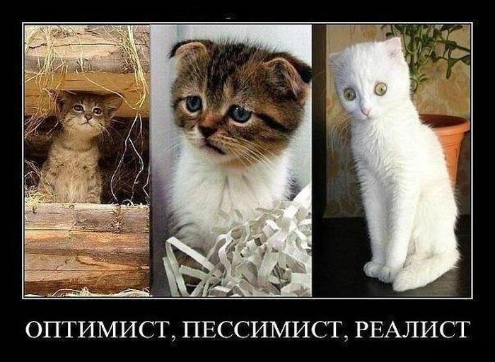 -       ? -      ...  ...