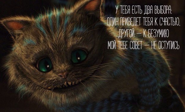 ������ �������� �������� - ���������� ���� - 9