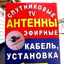 ���� ����, ������, 59 ��� - ��������� 20 ������� 2016 � ������ ���� �������