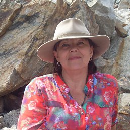 ������, ������������, 67 ���