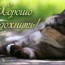 ���� �����, �����, 57 ��� - ��������� 18 ���� 2016 � ������ �������� ��������