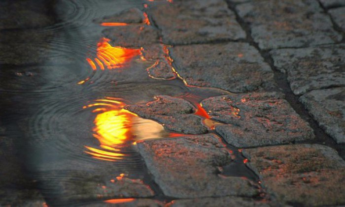 ,    .   . ,  ,  , ...