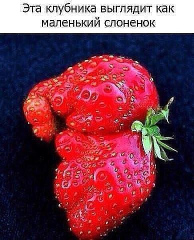 Вот молодцы! А мы кирпичи ищем,если мангал не с собой!;)Класс,за идею ребятам!Возьмём на заметку)