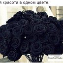 ���� ��������, �������, 27 ��� - ��������� 15 ���� 2016 � ������ �������...�