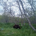 ���� ����, �������������-���������� - ��������� 27 ���� 2016 � ������ �1�