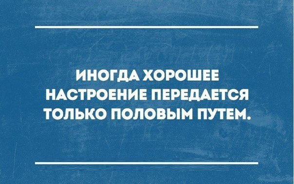 SportFeed - 19  2016  12:18