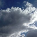 ���� �������, �������, 55 ��� - ��������� 31 ������� 2016 � ������ ���� ����������