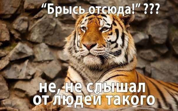    - 6  2016  03:15