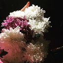 ���� ������, ������� �����, 47 ��� - ��������� 21 ���� 2016 � ������ ������ ��������