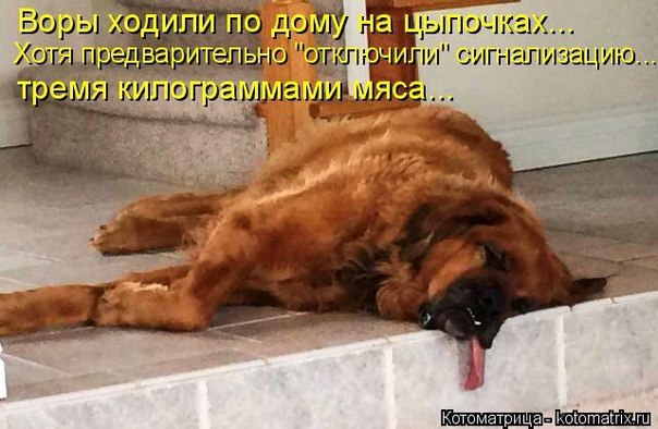 ����� ������� - 24 ����� 2016 � 12:05