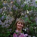 ���� ������, ������ - ��������� 15 ��� 2016 � ������ ���� ����������