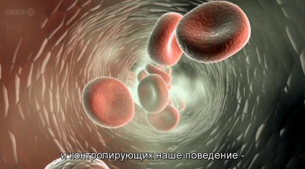 Правда об ожирении.(The Truth about Fat)Хирург Габриэль Вестон выясняет, почему столь много людей в ... - 3