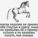 ���� V, �����������, 47 ��� - ��������� 16 ��� 2016 � ������ ���� ����������