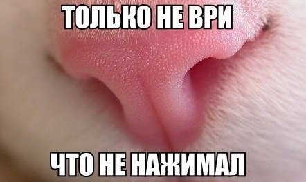    - 14  2016  20:22